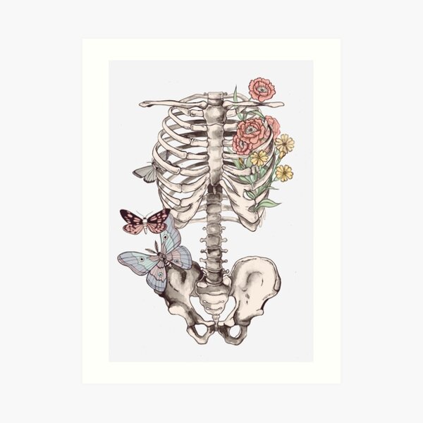 watercolour anatomy Art Print
