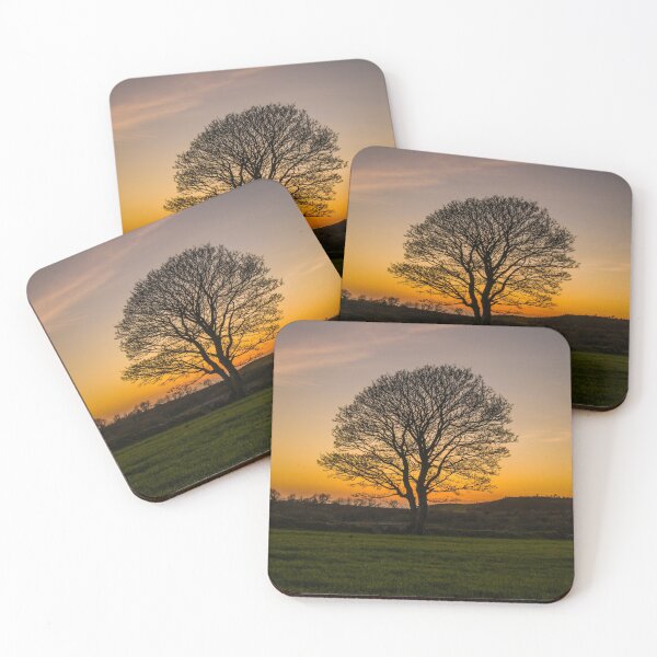 Item preview, Sunset Tree designed and sold by LluniauDafyddEm.