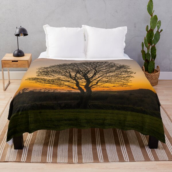Item preview, Sunset Tree designed and sold by LluniauDafyddEm.