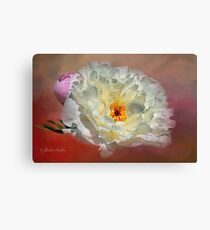 A Touch of Pink Canvas Print