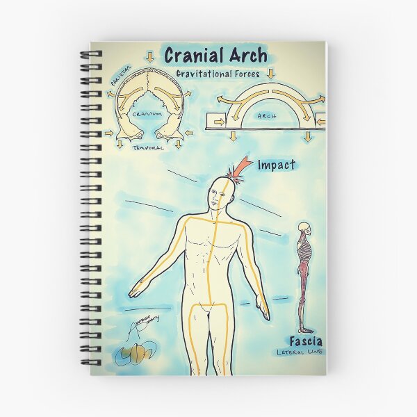 Item preview, Cranial Arch designed and sold by AdaptablePolar.