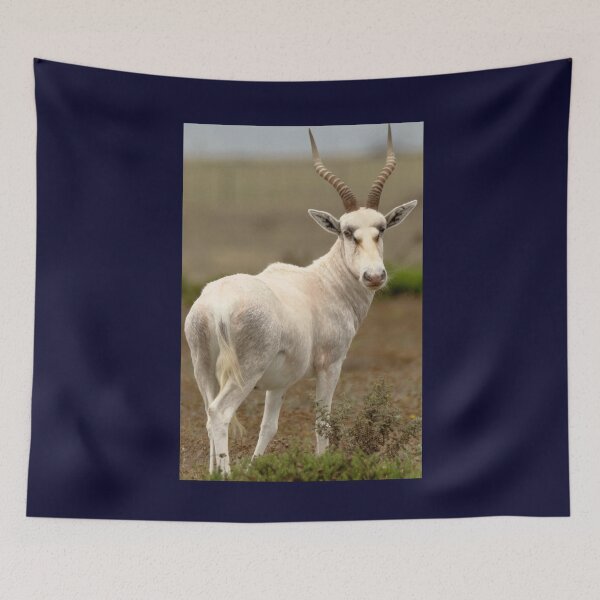 Item preview, Fantastical designed and sold by 7AJA.