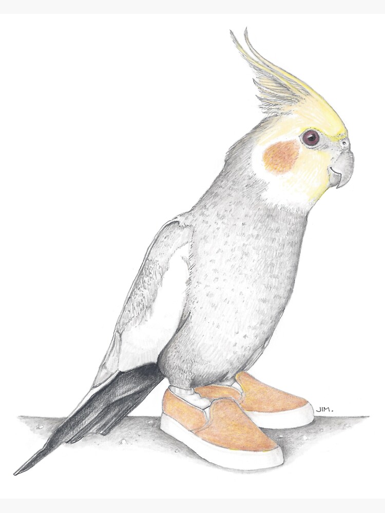 Thumbnail 3 of 3, Sticker, Cockatiel in Suede Sneakers designed and sold by JimsBirds.