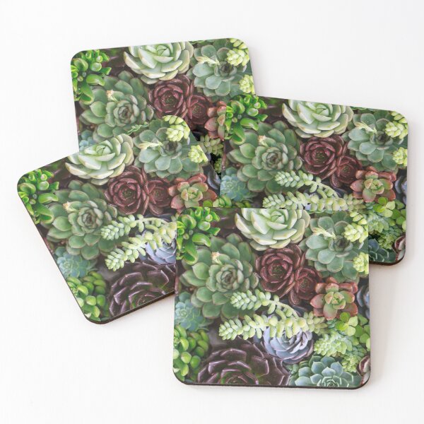 Item preview, Succulents Garden designed and sold by CS Cairo.
