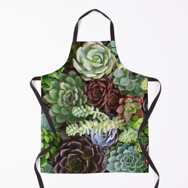 Item preview, Succulents Garden designed and sold by CS Cairo.