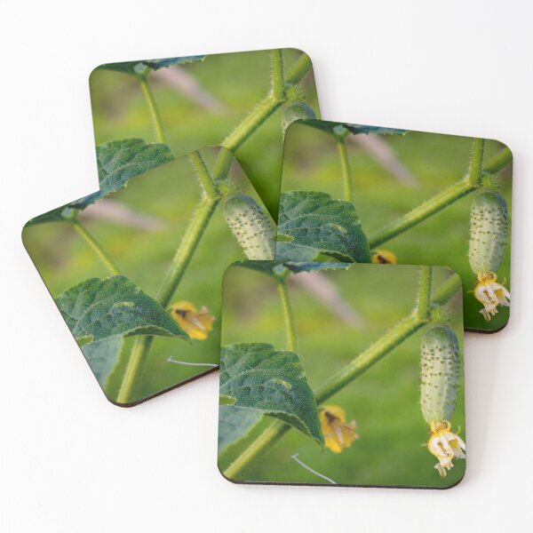 Item preview, Small cucumbers designed and sold by Mahirov Shop.