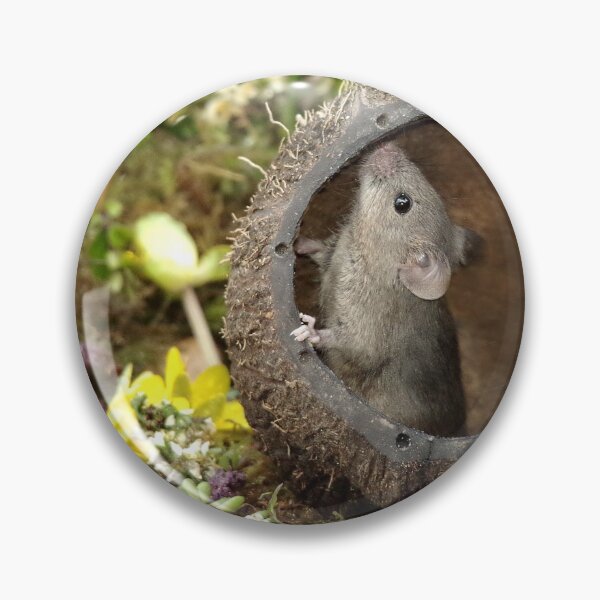 Item preview, Little mouse in a coconut shell  designed and sold by Simon-dell.