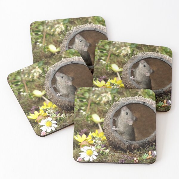 Item preview, Little mouse in a coconut shell  designed and sold by Simon-dell.