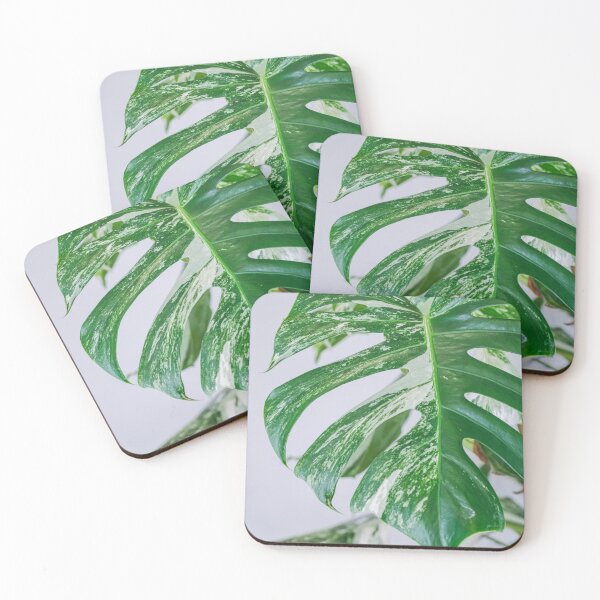 Item preview, Variegated Monstera designed and sold by IMPHives.