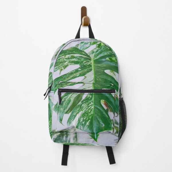 Item preview, Variegated Monstera designed and sold by IMPHives.