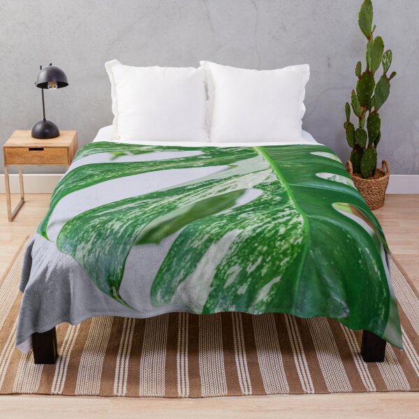 Item preview, Variegated Monstera designed and sold by IMPHives.
