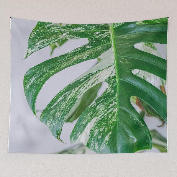 Item preview, Variegated Monstera designed and sold by IMPHives.