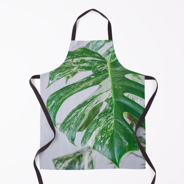 Item preview, Variegated Monstera designed and sold by IMPHives.
