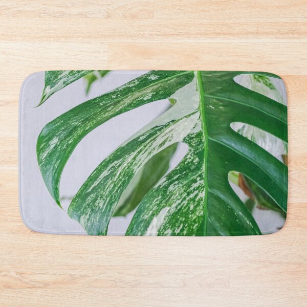 Item preview, Variegated Monstera designed and sold by IMPHives.