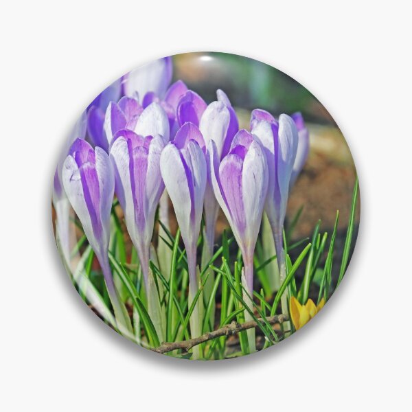 Item preview, Crocus In The Wild designed and sold by Deb Oppermann.