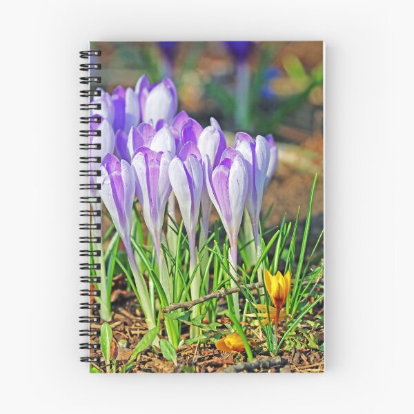 Item preview, Crocus In The Wild designed and sold by Deb Oppermann.