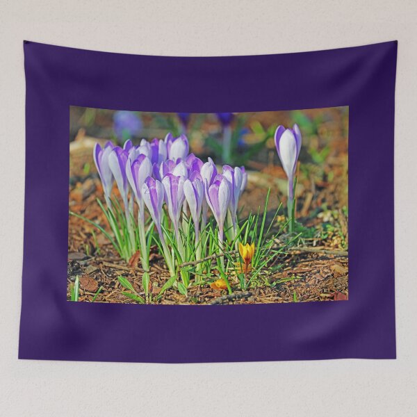 Item preview, Crocus In The Wild designed and sold by Deb Oppermann.
