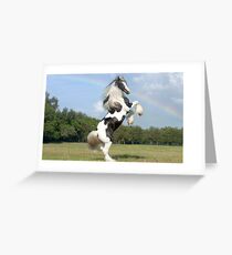 elite horse Greeting Card