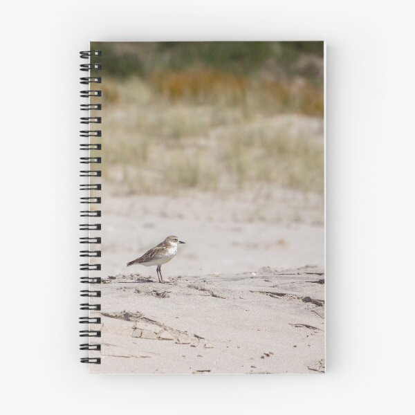 Item preview, The Dotterel designed and sold by Anne Scantlebury.