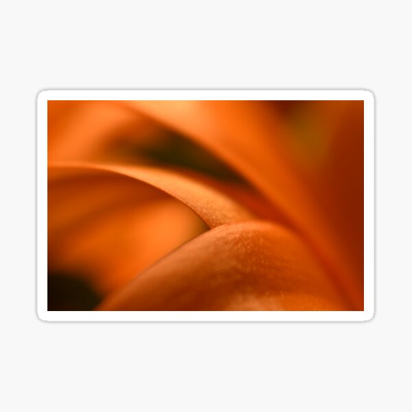 Item preview, Orange flower petals designed and sold by Tonia Delozier's Photography .
