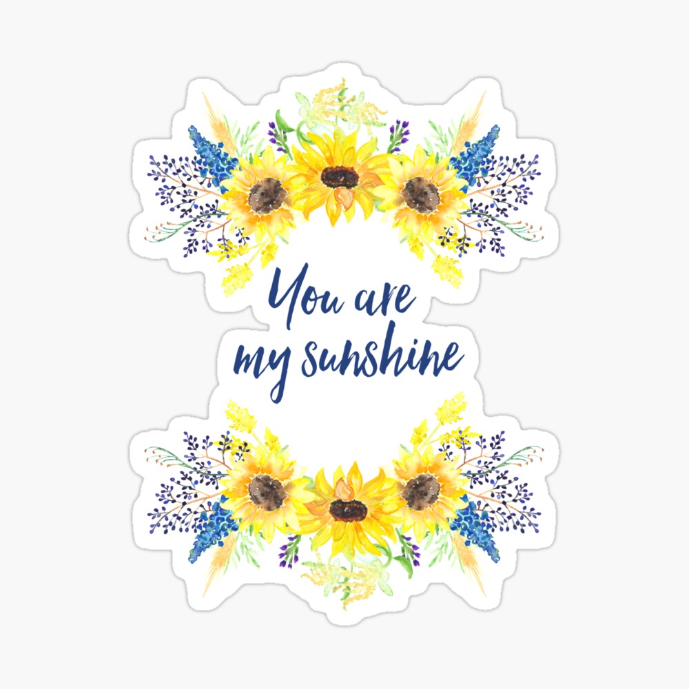 You Are My Sunshine Panda With Sunflower Motivational Water 