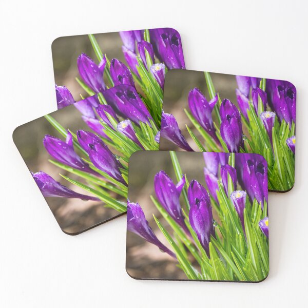 Item preview, Spring Crocus 8 designed and sold by Robert Alsop.