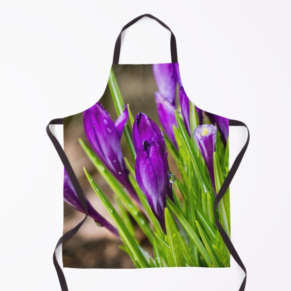 Item preview, Spring Crocus 8 designed and sold by Robert Alsop.