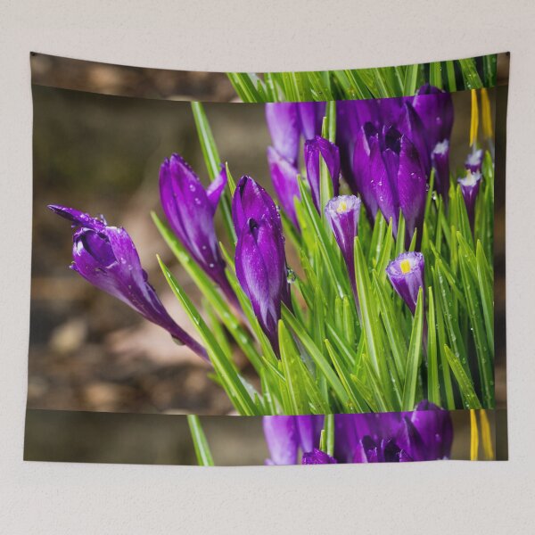 Item preview, Spring Crocus 8 designed and sold by Robert Alsop.