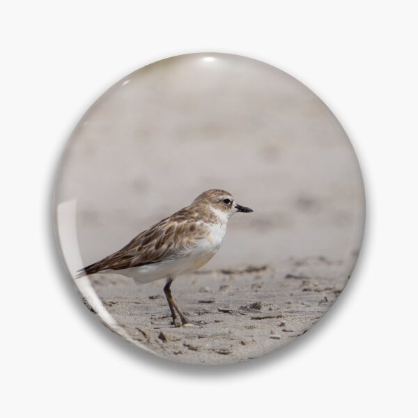 Item preview, Dotterel, New Zealand. designed and sold by Anne Scantlebury.