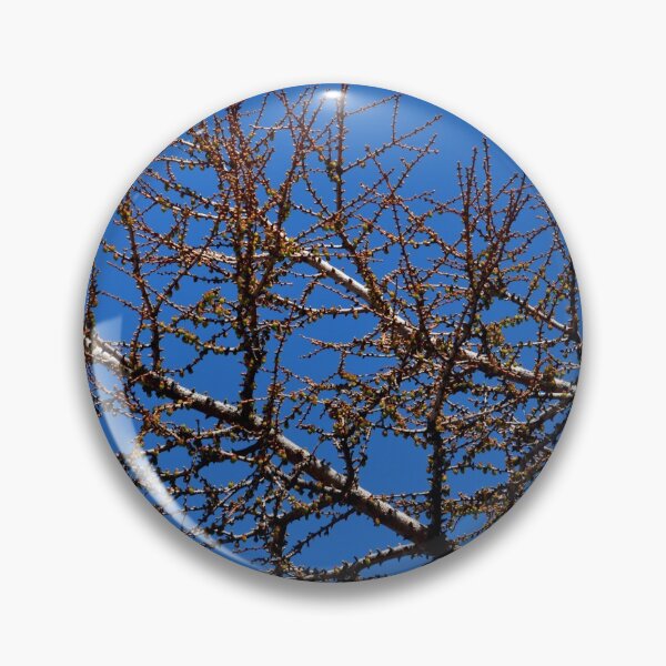 Item preview, The bare branches of a tree seen against a blue sky. designed and sold by EAnneH.