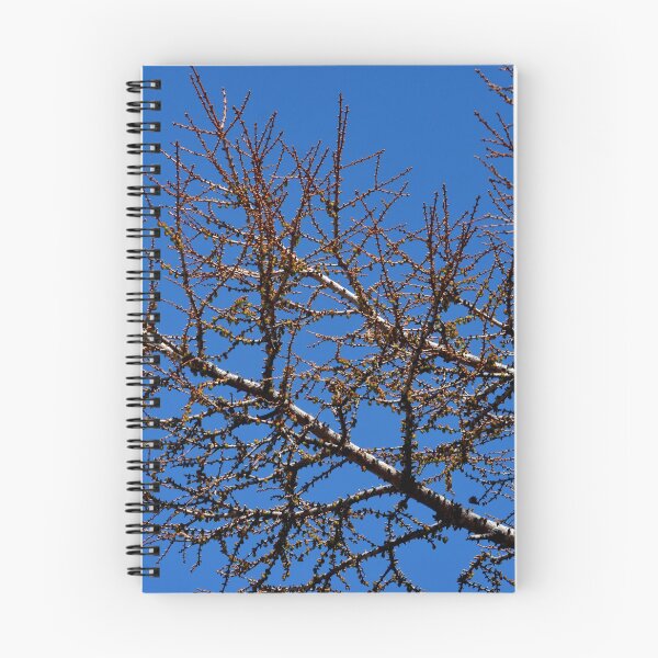 Item preview, The bare branches of a tree seen against a blue sky. designed and sold by EAnneH.