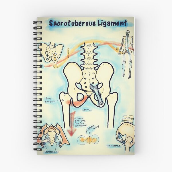 Item preview, Sacrotuberous Ligament designed and sold by AdaptablePolar.