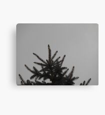Desolate Winter Canvas Print