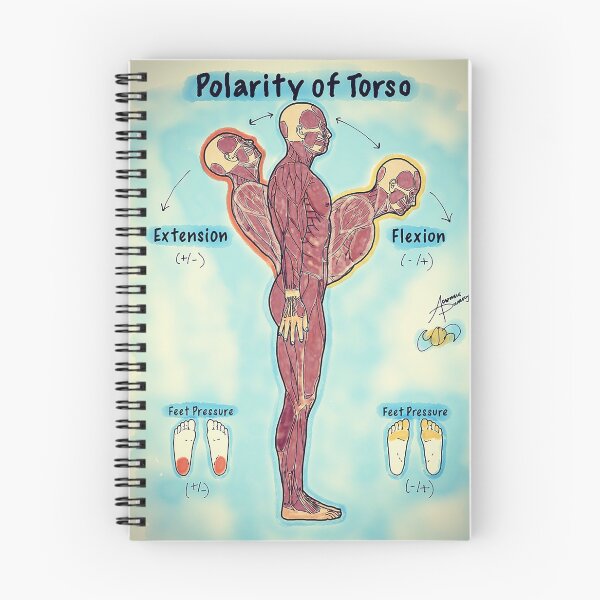 Item preview, Polarity of Torso designed and sold by AdaptablePolar.