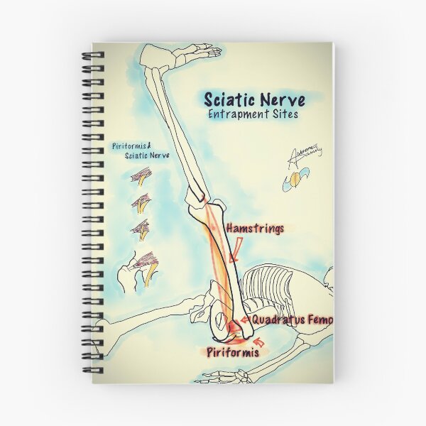 Item preview, Sciatic Nerve designed and sold by AdaptablePolar.