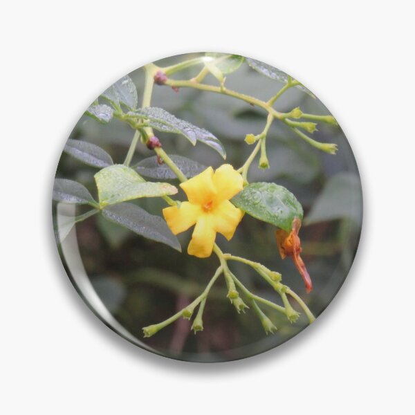 Item preview, Two yellow flowers designed and sold by greentiger1.