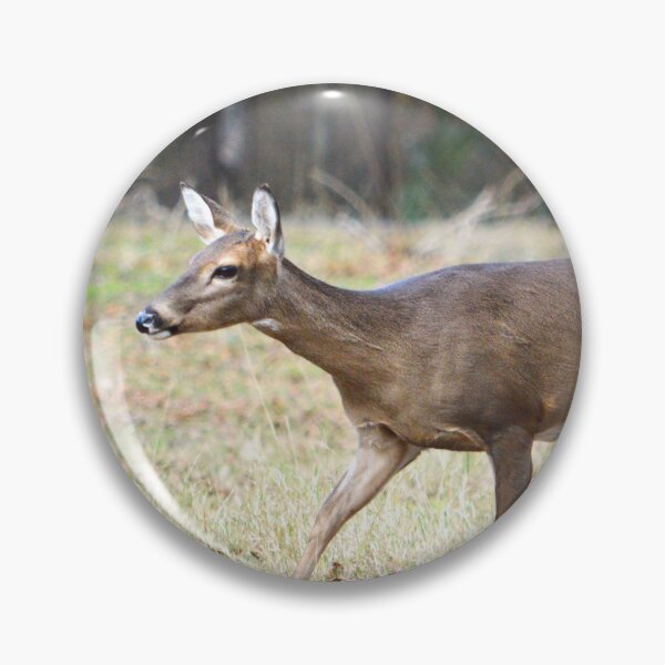 Item preview, Doe In Field 1 designed and sold by Nature's Reflections.