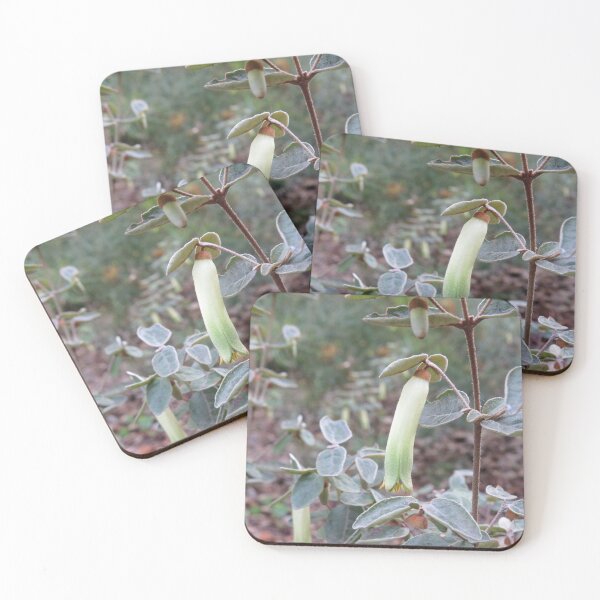 Item preview, Green and white correa designed and sold by greentiger1.