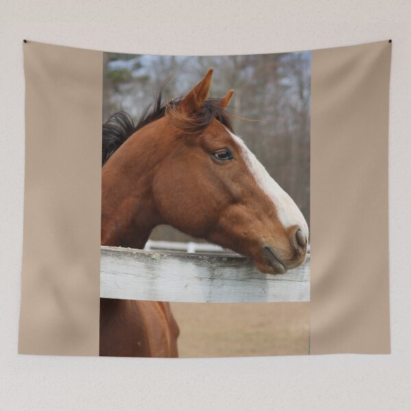 Item preview, Horse Profile designed and sold by LisaNaturePhoto.