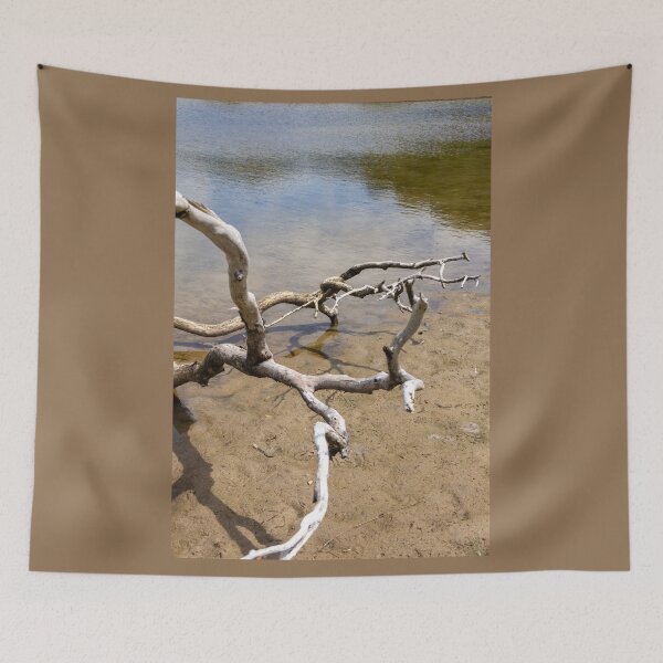 Item preview, Driftwood designed and sold by Anne Scantlebury.