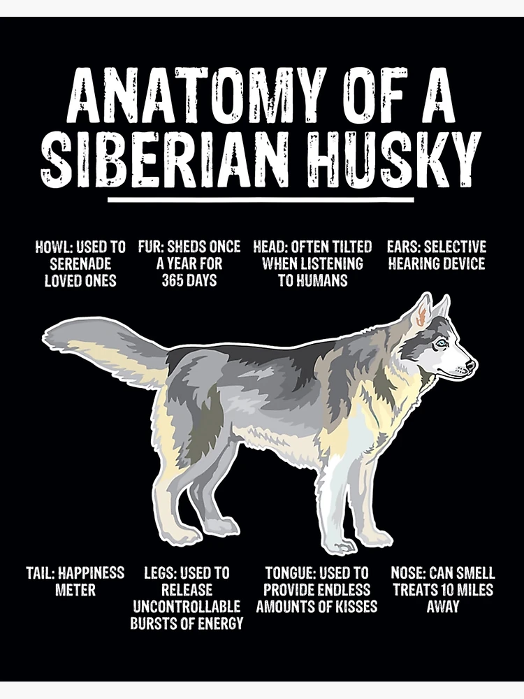 Anatomy Of A Siberian Husky #1 Tote Bag by Jose O - Fine Art America