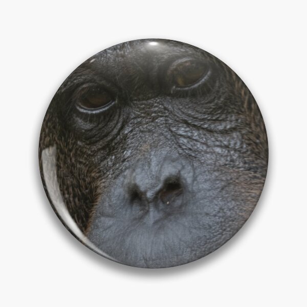 Item preview, Pensive Orangutan designed and sold by David ST Loh Images.