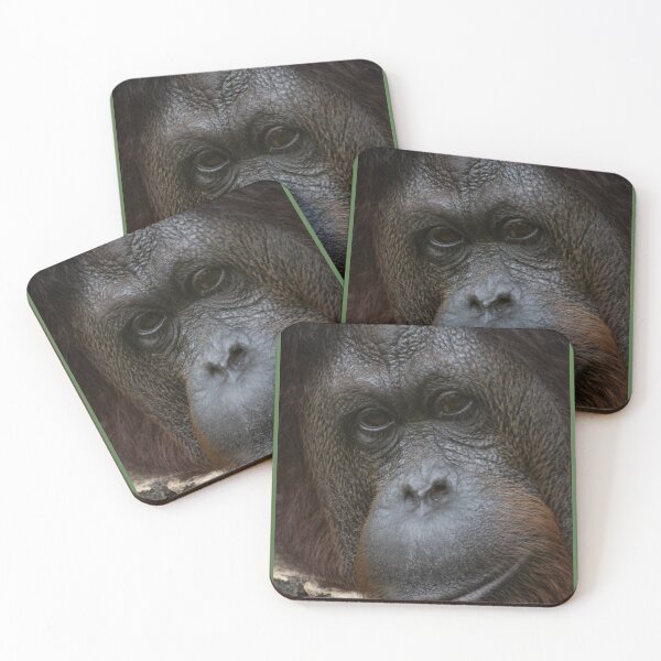 Item preview, Pensive Orangutan designed and sold by David ST Loh Images.