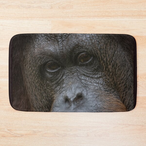 Item preview, Pensive Orangutan designed and sold by David ST Loh Images.