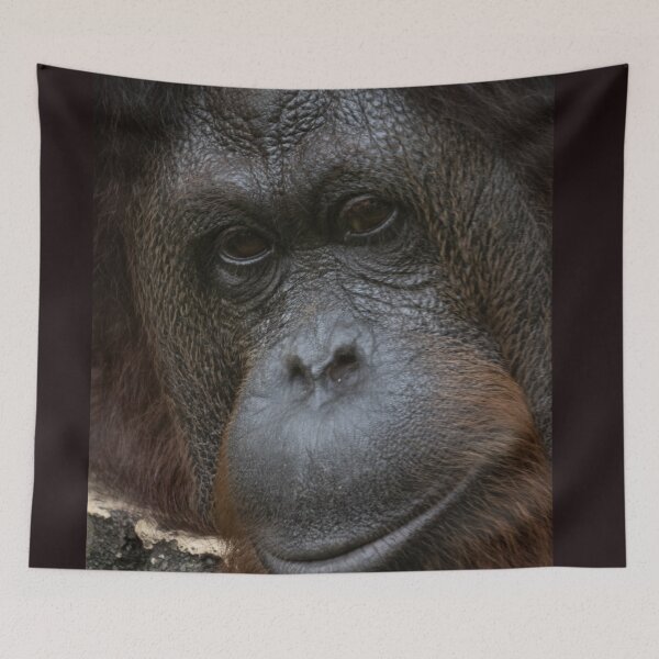 Item preview, Pensive Orangutan designed and sold by David ST Loh Images.