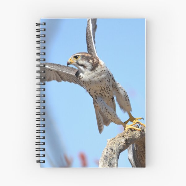 Item preview, Falcon Take-Off designed and sold by Kathleen Brant.