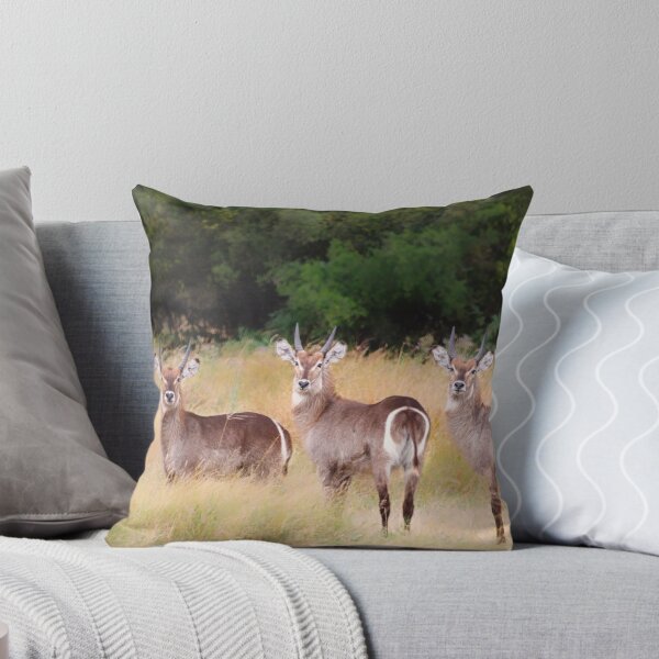 Item preview, Triple Shot designed and sold by Owed To Nature.