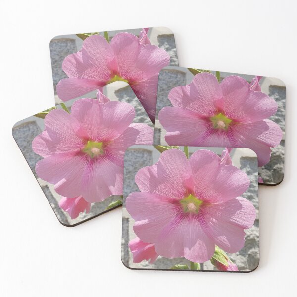 Item preview, Pink Hibiscus designed and sold by preethijay.