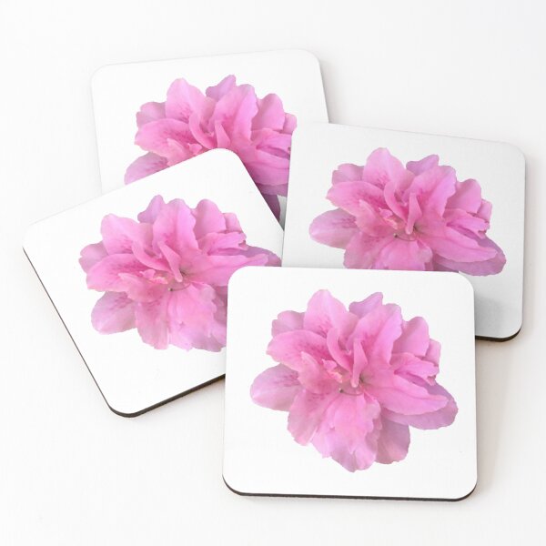 Item preview, Pink Azalea Close-up on White designed and sold by InalterataArt.