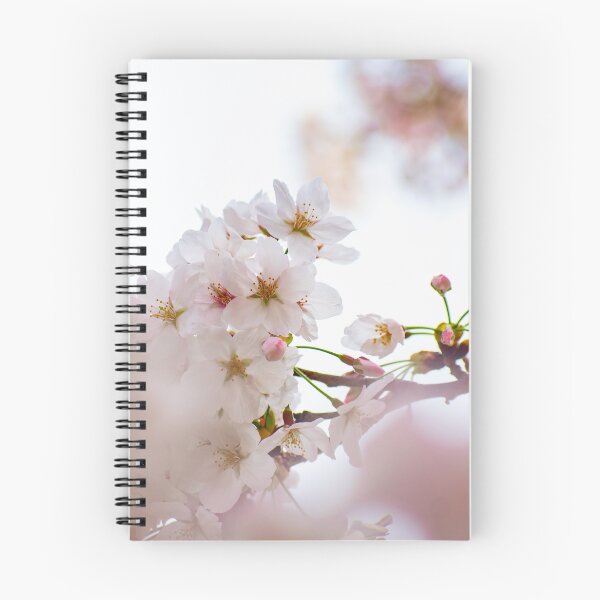 Item preview, Sakura season, cherry blossom in Japan designed and sold by Zs Photo.